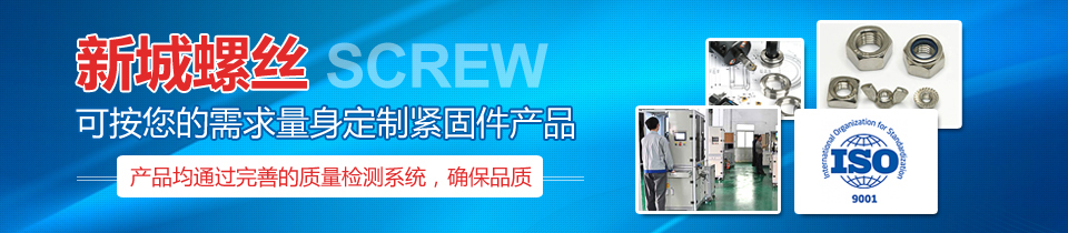 新城螺丝定制