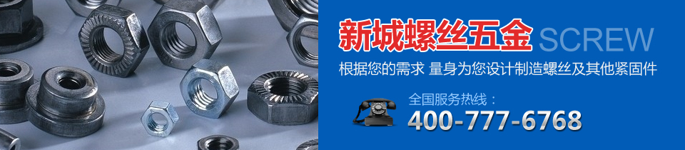 新城螺丝五金定制